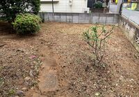 IMG_0317