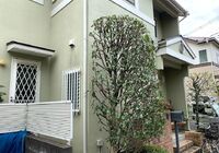 IMG_0495