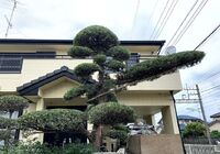 IMG_0505 (1)