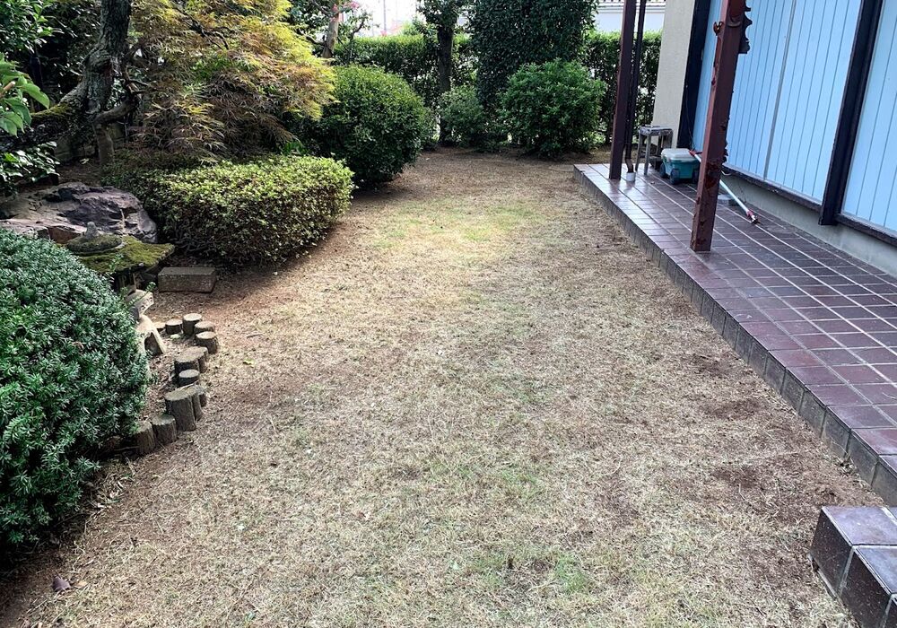 雑刈り後