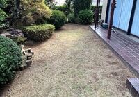 雑刈り後